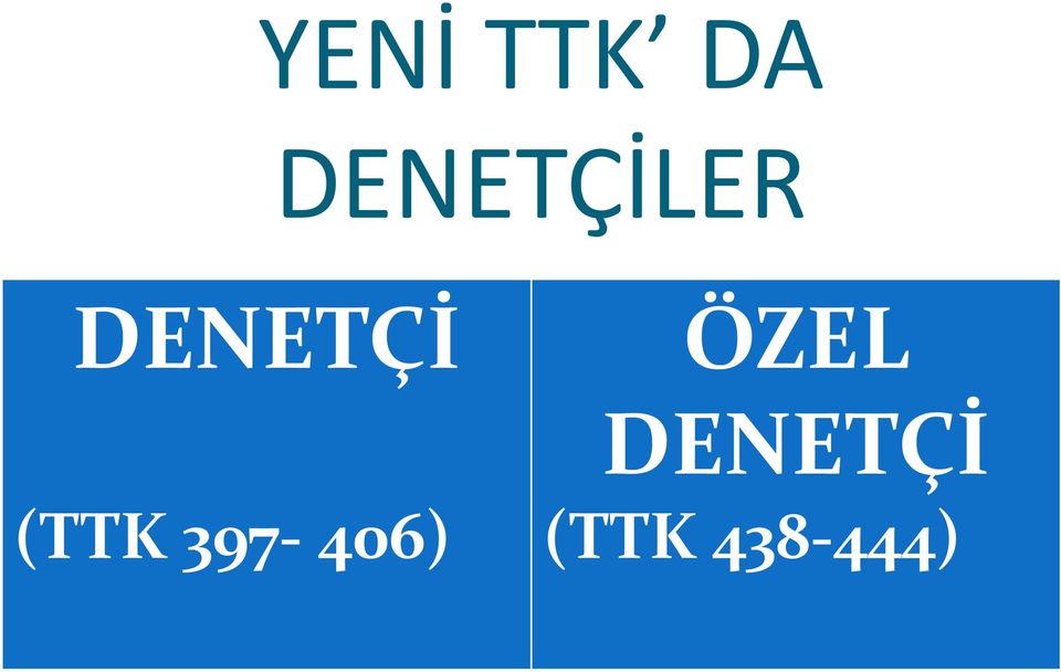 DENETÇİ ÖZEL