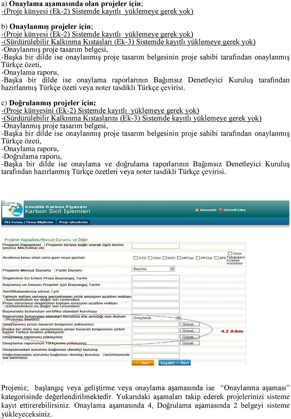 onaylanmış Türkçe özeti, -Onaylama raporu, -Başka bir dilde ise onaylama raporlarının Bağımsız Denetleyici Kuruluş tarafından hazırlanmış Türkçe özeti veya noter tasdikli Türkçe çevirisi.