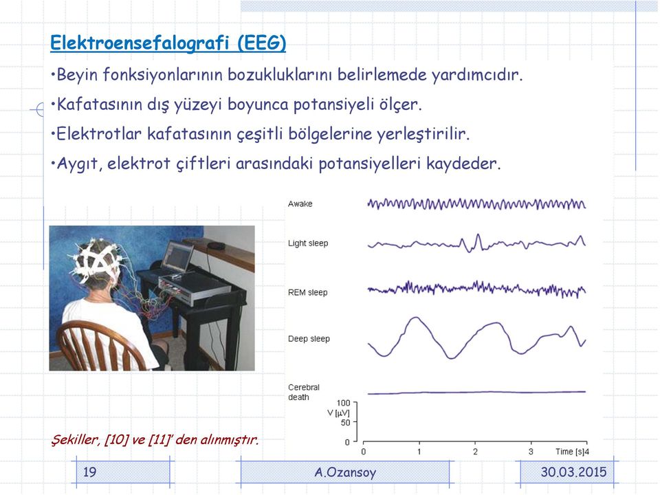 Elektotl kftsının çeşitli ölgeleine yeleştiili.