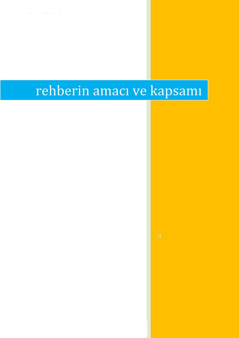 KAPSAMI rehberin amacı ve