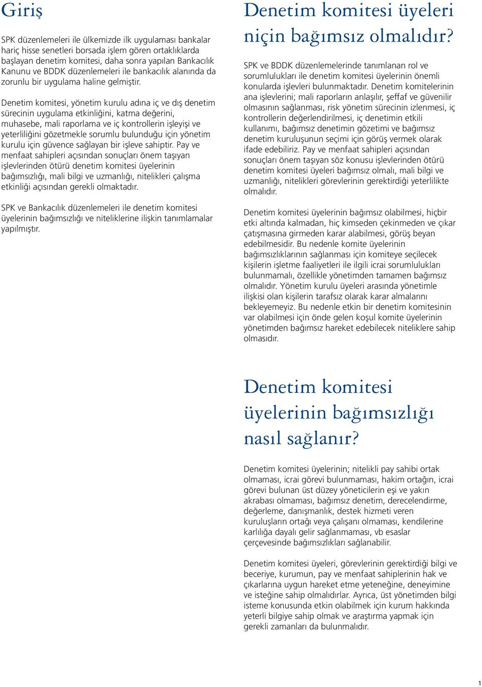 Denetim komitesi, yönetim kurulu adına iç ve dış denetim sürecinin uygulama etkinliğini, katma değerini, muhasebe, mali raporlama ve iç kontrollerin işleyişi ve yeterliliğini gözetmekle sorumlu