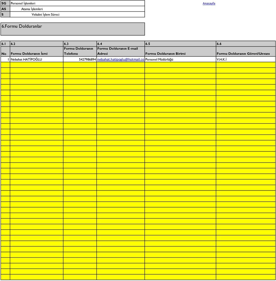 E-mail Adresi Formu Dolduranın Birimi Formu Dolduranın Görevi/Unvanı 1