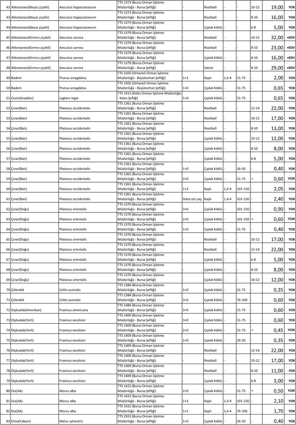 amygdalus 51 Ceviz(Anadolu) Juglans regia 52 Çınar(Batı) Platanus occidentalis 53 Çınar(Batı) Platanus occidentalis 54 Çınar(Batı) Platanus occidentalis 55 Çınar(Batı) Platanus occidentalis 56