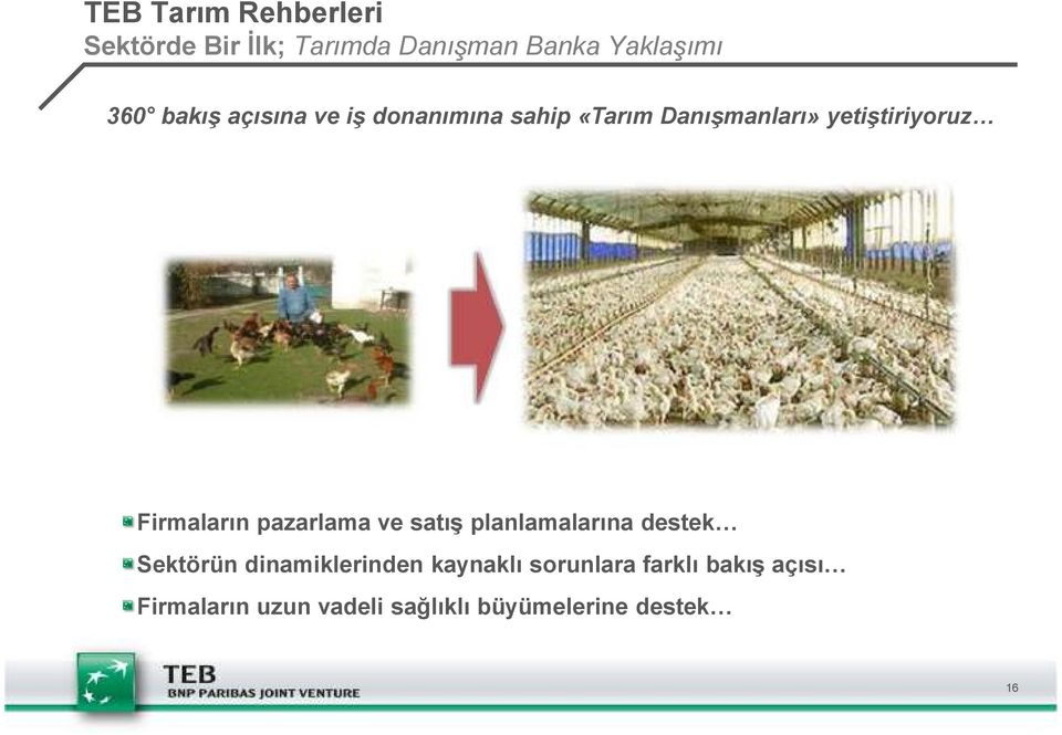 Firmaların pazarlama ve satış planlamalarına destek Sektörün dinamiklerinden