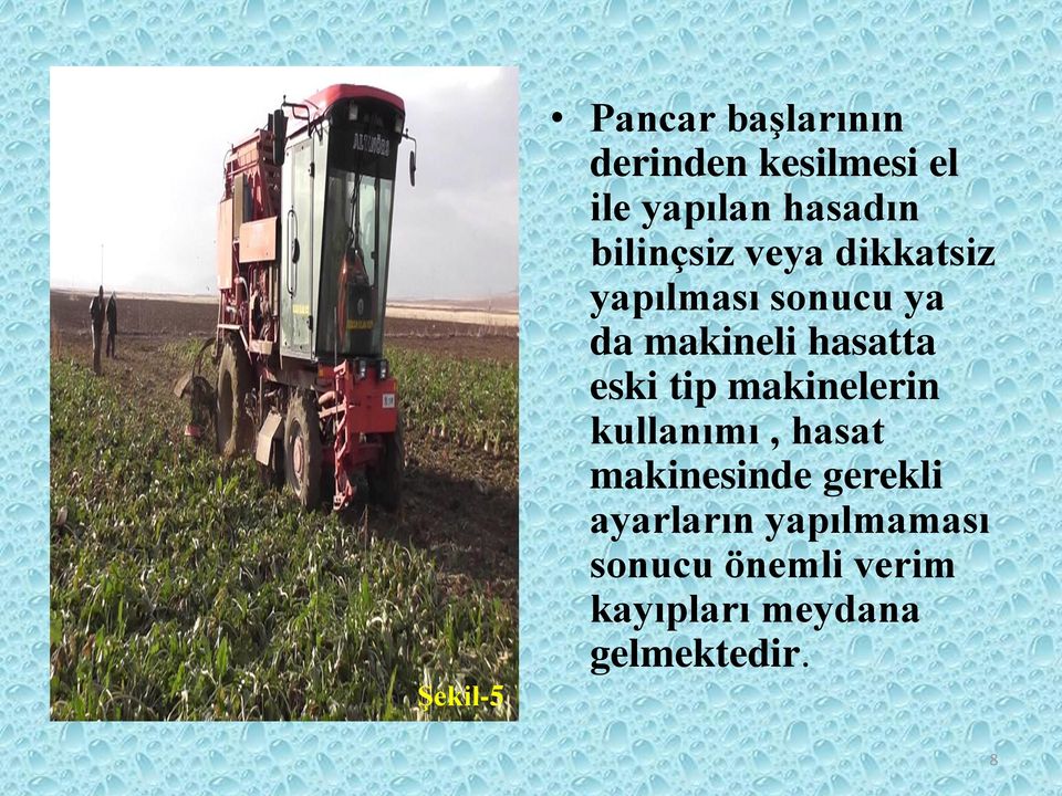 hasatta eski tip makinelerin kullanımı, hasat makinesinde gerekli