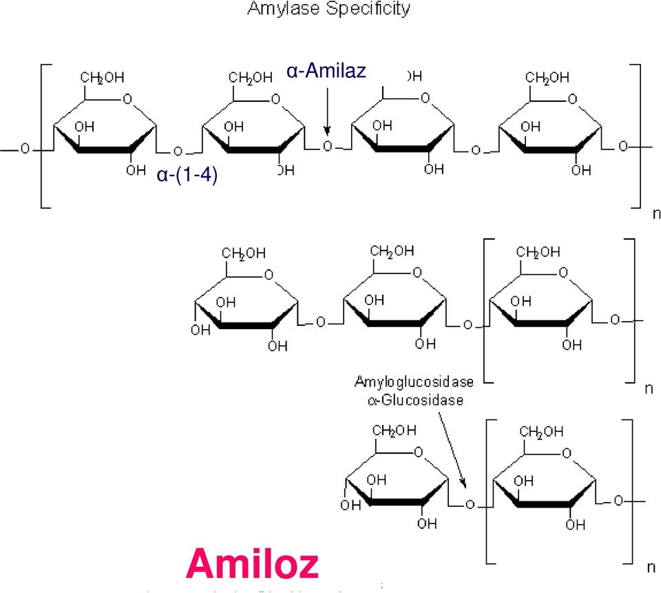 Amiloz