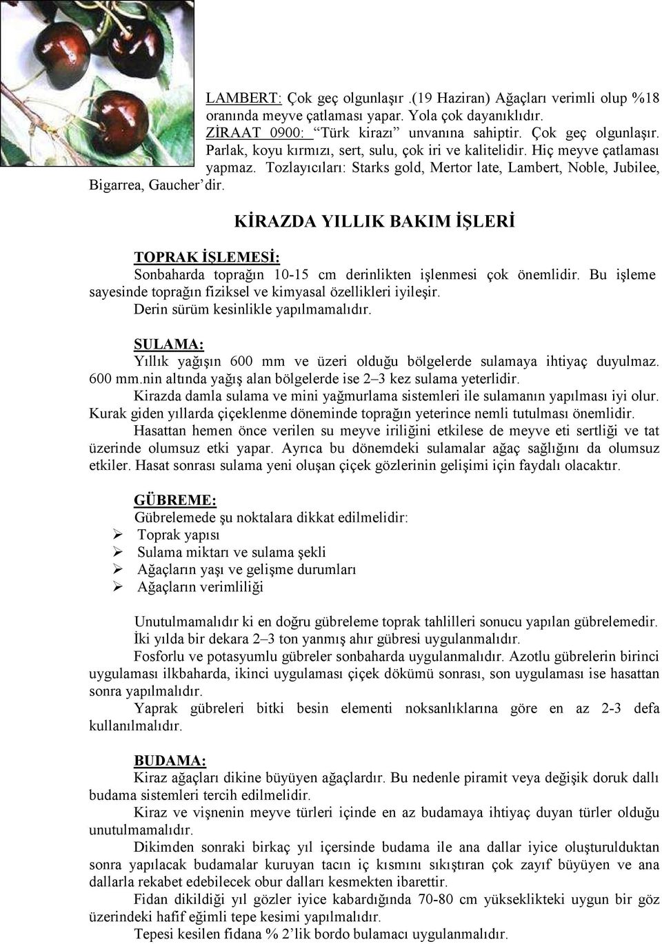 KİRAZDA YILLIK BAKIM İŞLERİ TOPRAK İŞLEMESİ: Sonbaharda toprağın 10-15 cm derinlikten işlenmesi çok önemlidir. Bu işleme sayesinde toprağın fiziksel ve kimyasal özellikleri iyileşir.