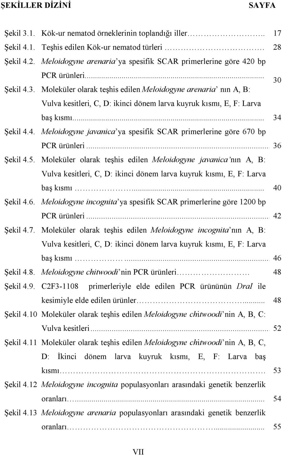 Moleküler olarak teşhis edilen Meloidogyne arenaria nın A, B: Vulva kesitleri, C, D: ikinci dönem larva kuyruk kısmı, E, F: Larva baş kısmı... 34 
