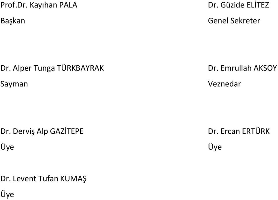 Alper Tunga TÜRKBAYRAK Sayman Dr.