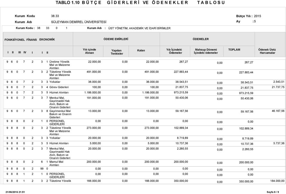 Yılı içinde Alınan Tenkisler Kalan Yılı İçindeki Ödemeler Mahsup Dönemi İçindeki ödemeler TOPLAM Ödenek Üstü Harcamalar Görev Giderleri