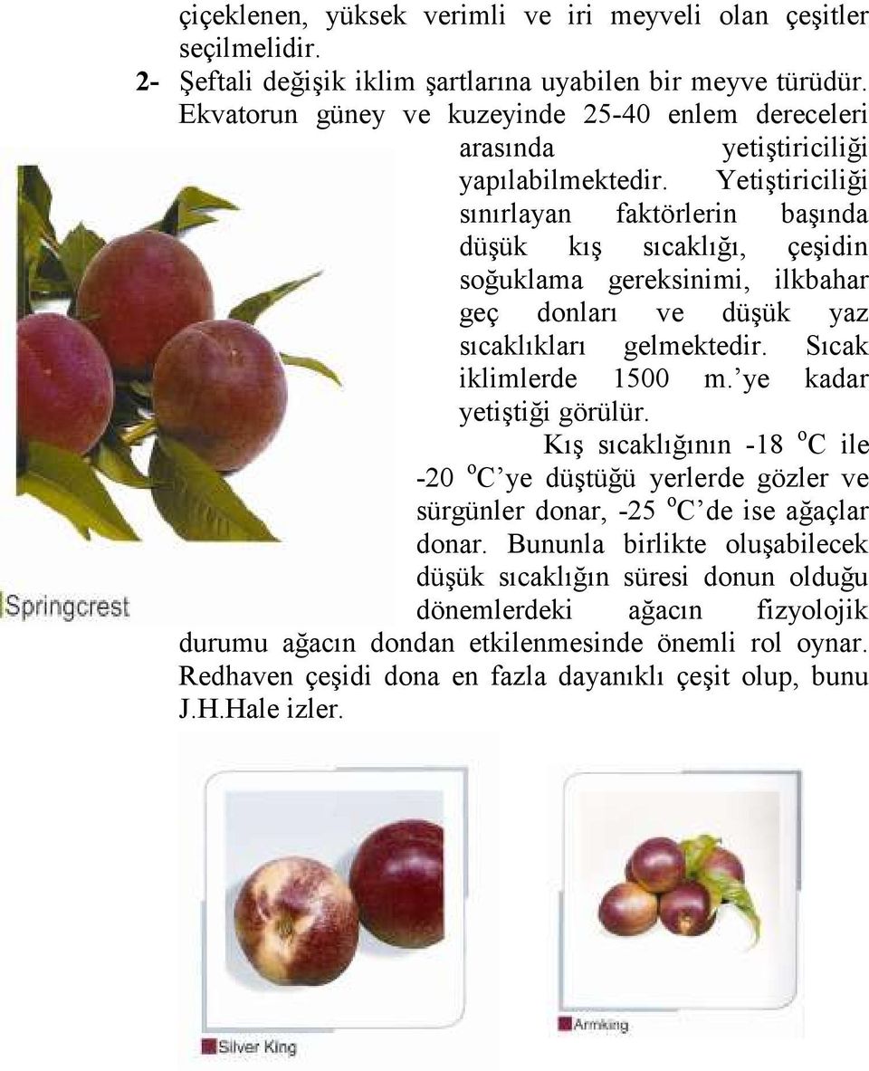 Yetiştiriciliği sınırlayan faktörlerin başında düşük kış sıcaklığı, çeşidin soğuklama gereksinimi, ilkbahar geç donları ve düşük yaz sıcaklıkları gelmektedir. Sıcak iklimlerde 1500 m.