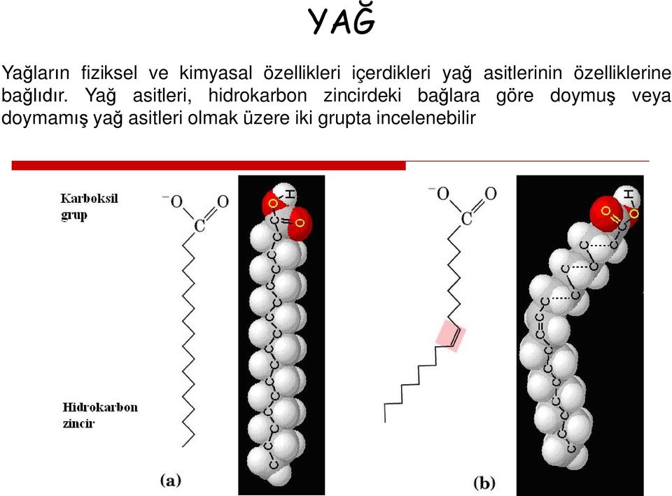 Yağ asitleri, hidrokarbon zincirdeki bağlara göre