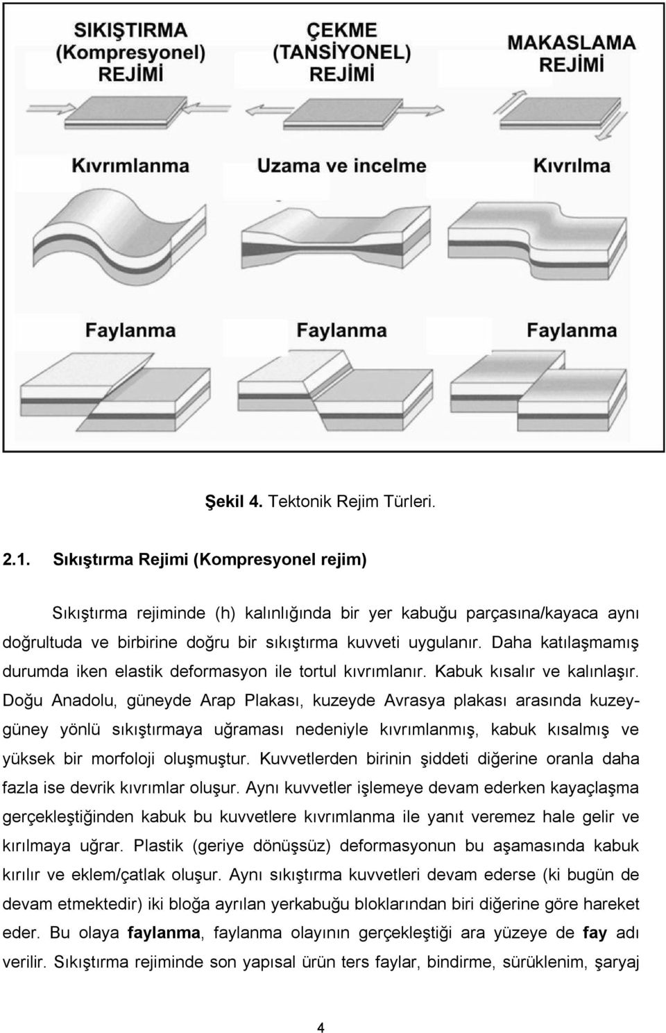 Daha katılaşmamış durumda iken elastik deformasyon ile tortul kıvrımlanır. Kabuk kısalır ve kalınlaşır.