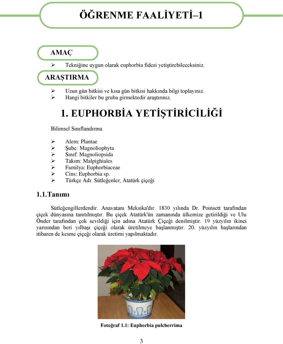 EUPHORBİA YETİŞTİRİCİLİĞİ Bilimsel Sınıflandırma Alem: Plantae Şube: Magnoliophyta Sınıf: Magnoliopsida Takım: Malpighiales Familya: Euphorbiaceae Cins: Euphorbia sp.