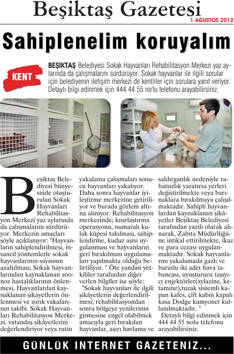 Beşiktaş Belediyesi bünyesinde oluşturulan Sokak Hayvanları Rehabilitasyon Merkezi yaz aylarında da çalışmalarını sürdürüyor.