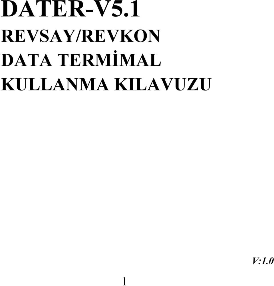 DATA TERMİMAL