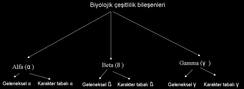 2. Biyoçeşitlilik dağılımını (alfa, beta, gama bileşenleri) Tür çesitliligi Taksonomik çesitlilik Filogenetik