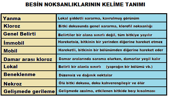 BESİN ELEMENTLERİ Bitki gelişimi yönünden 16 elementin zorunlu olduğu bilinmektedir.