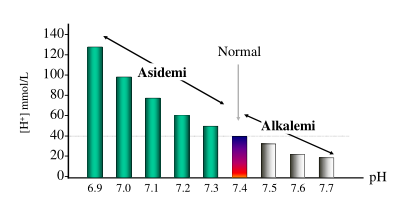 1. Basamak - ph Asidemi Asistoli Kollaps Ölüm Alkalemi