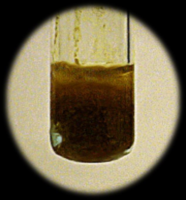 Cu 2+ 4) Bakır(II) tuzu çözeltisi üzerine potasyum ferrosiyanür çözeltisi eklenirse kırmızı-kahverengi bakır(ii) ferrosiyanür