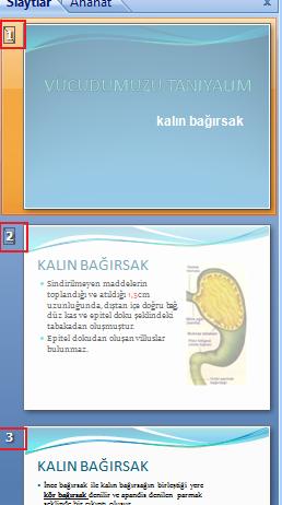 slaytların numaraları ve küçük ekran