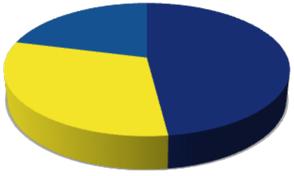 FENERBAHÇE A.Ş. 214-215 Futbol Sezonu 215-216 Futbol Sezonu %21 %2 Fenerbahçe, 214-215 futbol sezonunda 2 bine yakın kombine sattı.