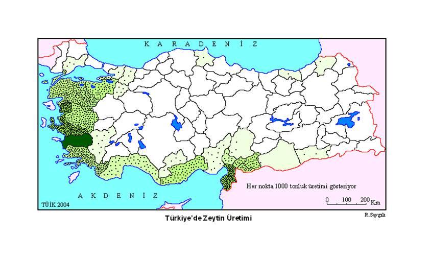 Üretim Ülkemizde zeytin ve zeytinyağı üretimi daha çok Ege ve Marmara Bölgesinde yapılmaktadır. Aydın, İzmir, Muğla, Balıkesir, Manisa ve Çanakkale üretimin gerçekleştiği başlıca illerdir.