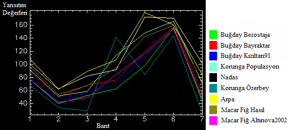 Şekil 4. 2011 yılı uydu verisinde örnek piksellerin spektral yansıtımları. Çizelge 7. 2011 yılı uydu görüntü verisinde Bant 4 için ürün tipi sınıfları arasındaki korelasyon.
