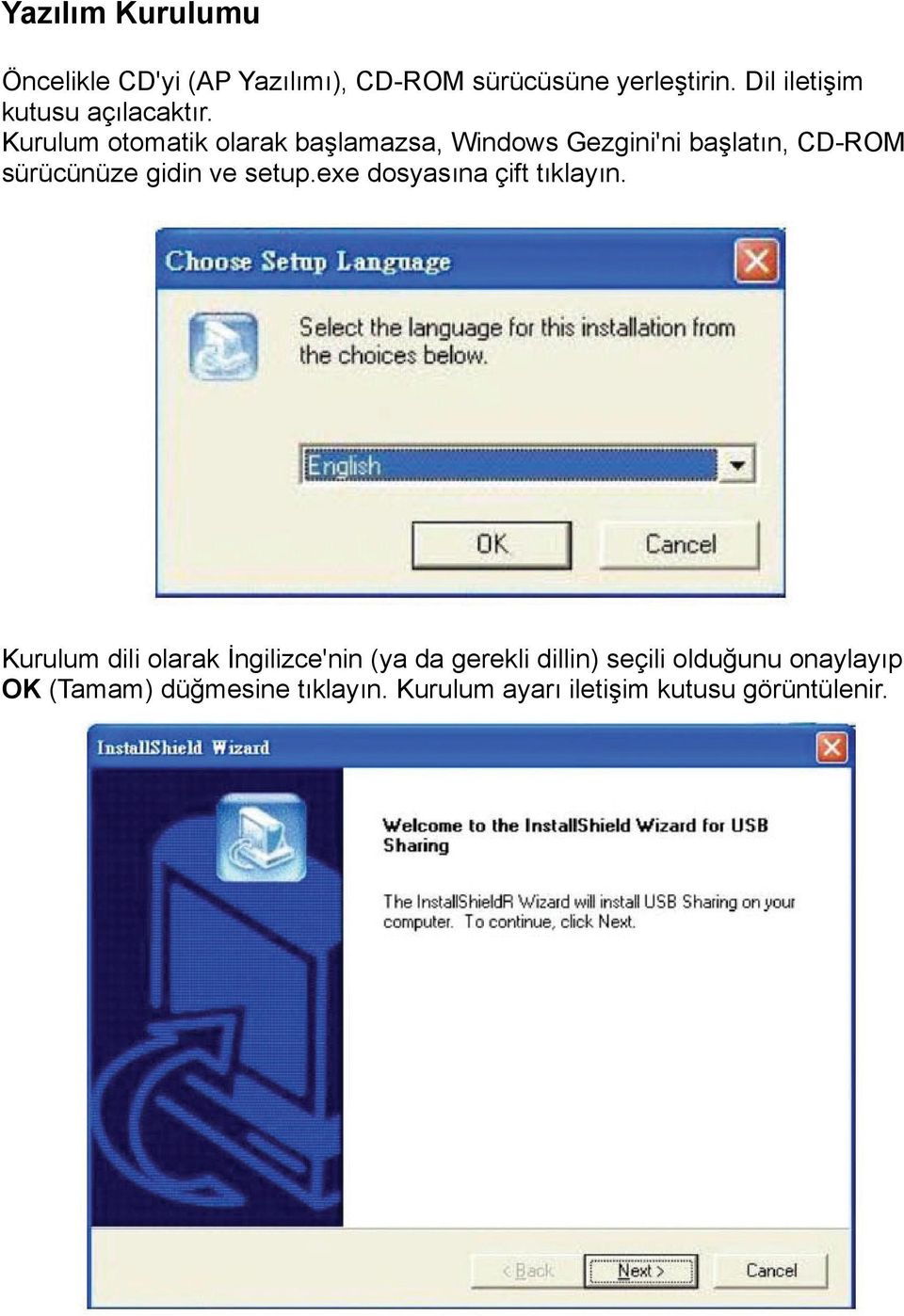 Kurulum otomatik olarak başlamazsa, Windows Gezgini'ni başlatın, CD-ROM sürücünüze gidin ve setup.