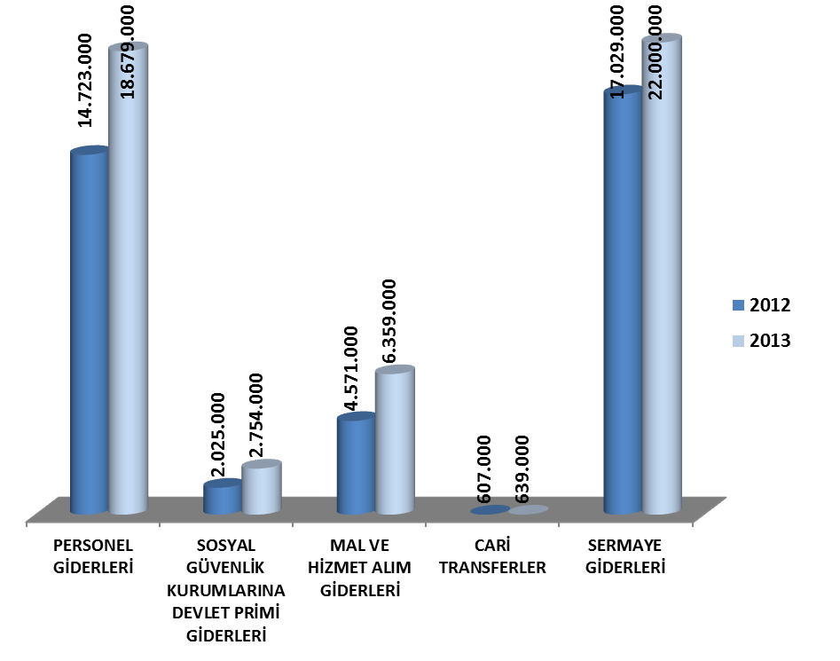 I. OCAK-HAZĠRAN DÖNEMĠ BÜTÇE UYGULAMA SONUÇLARI A. Bütçe Giderleri 1. Bütçe Ödenekleri ve GerçekleĢmeleri 2013 Yılı Merkezi Yönetim Bütçe Kanunu ile toplam 50.431.000 TL ödenek ayrılmıştır.