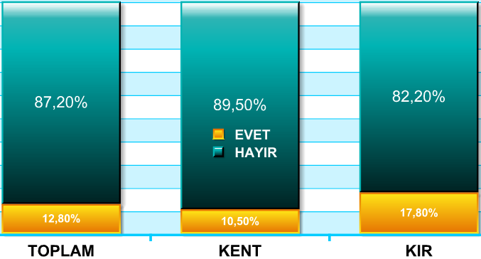 2.28. Herhangi bir sosyal güvenlik kurumuna bağlı olmadan çalışmayı kabul eder misiniz?