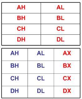 General Purpose Registers EU, 8 tane genel amaçlı register a sahiptir. 8-bitlik verileri saklamak için başlıbaşına kullanılabilir.