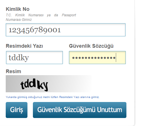 5.ADIM Kimlik No, Resimdeki Yazı ve Güvenlik Sözcüğü alanlarını doldurup Giriş