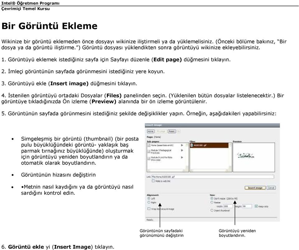 Đmleçi görüntünün sayfada görünmesini istediğiniz yere koyun. 3. Görüntüyü ekle (Insert image) düğmesini tıklayın. 4. Đstenilen görüntüyü ortadaki Dosyalar (Files) panelinden seçin.