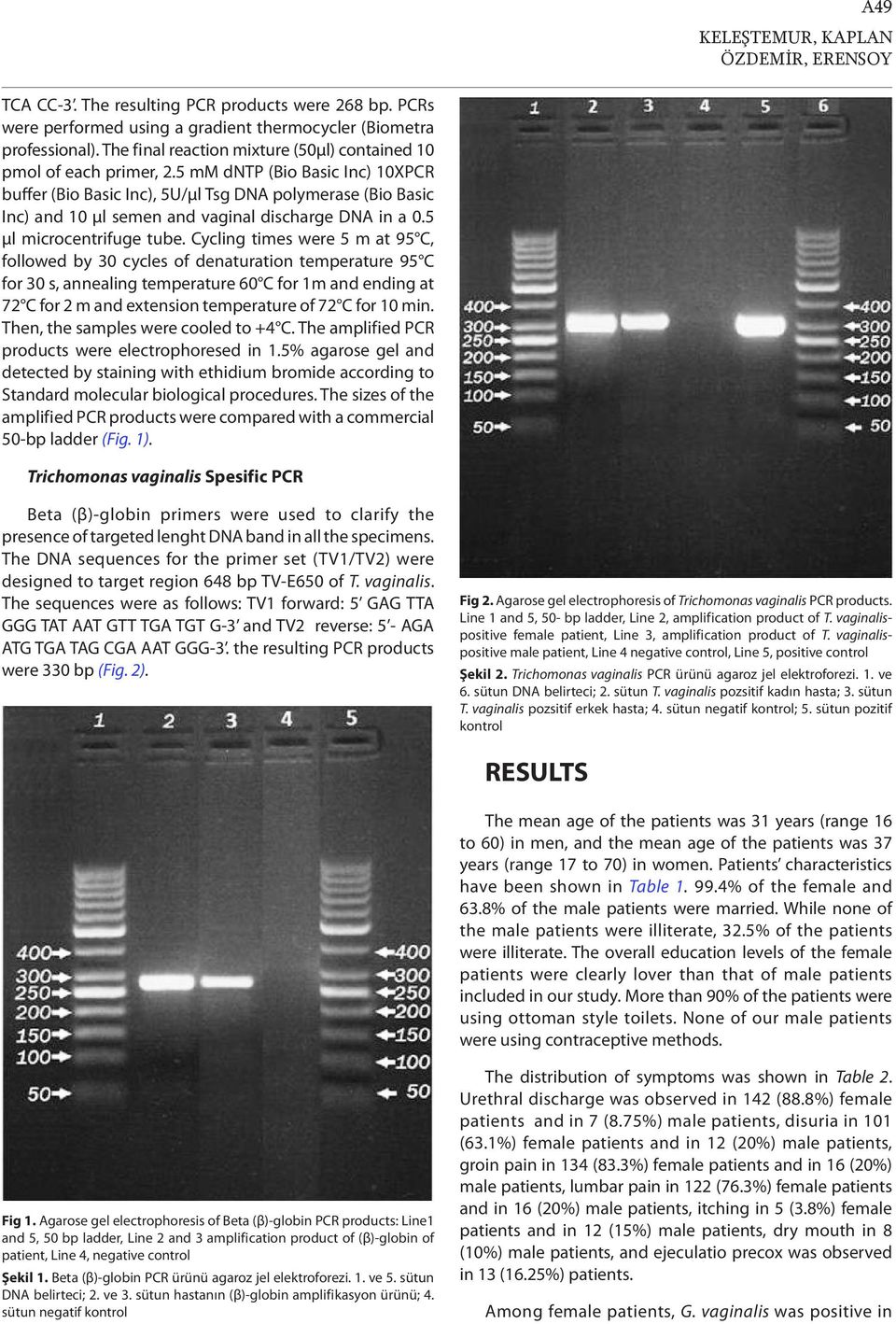5 mm dntp (Bio Basic Inc) 10XPCR buffer (Bio Basic Inc), 5U/µl Tsg DNA polymerase (Bio Basic Inc) and 10 µl semen and vaginal discharge DNA in a 0.5 µl microcentrifuge tube.