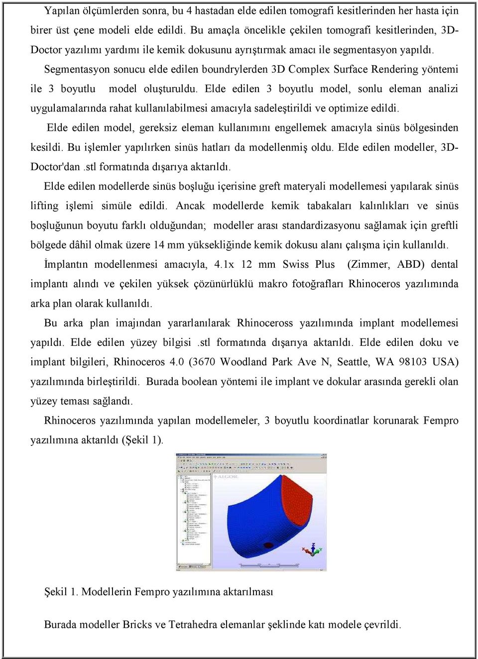 Segmentasyon sonucu elde edilen boundrylerden 3D Complex Surface Rendering yöntemi ile 3 boyutlu model oluşturuldu.