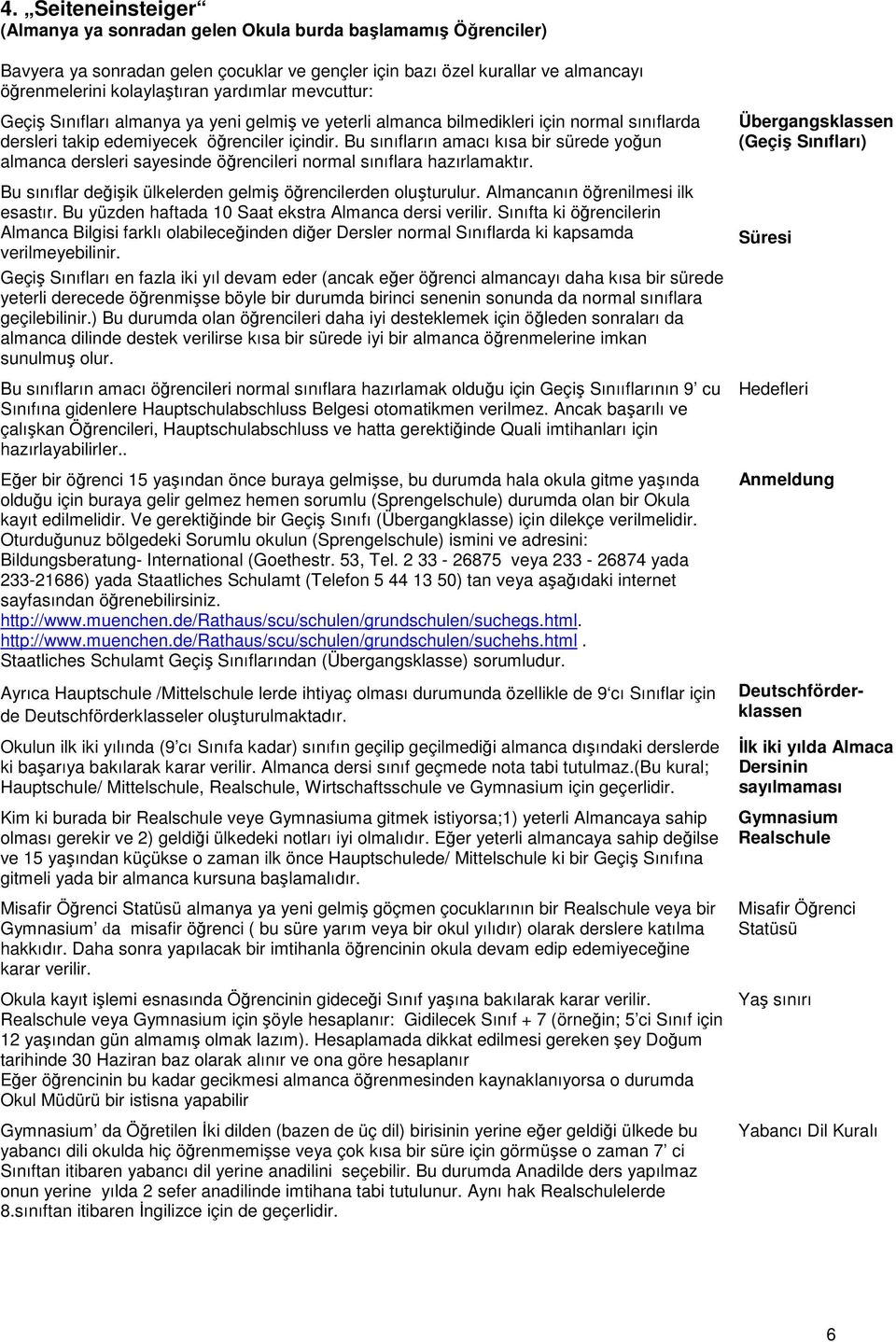 Bu sınıfların amacı kısa bir sürede yoğun almanca dersleri sayesinde öğrencileri normal sınıflara hazırlamaktır. Bu sınıflar değişik ülkelerden gelmiş öğrencilerden oluşturulur.