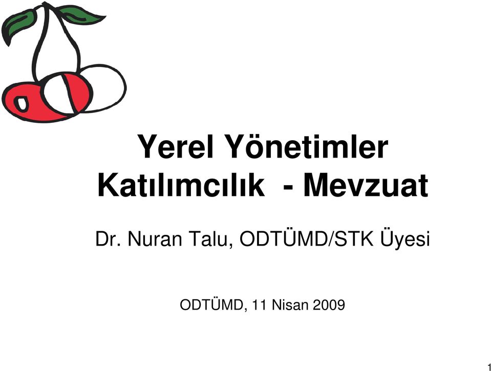 Dr. Nuran Talu,