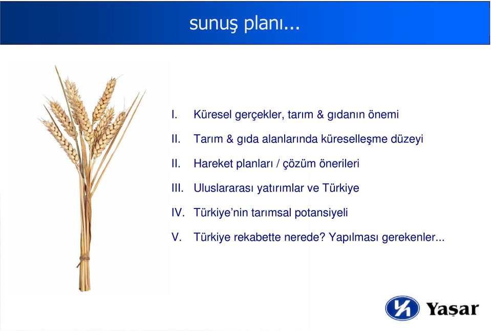 çözüm önerileri Uluslararası yatırımlar ve Türkiye IV.