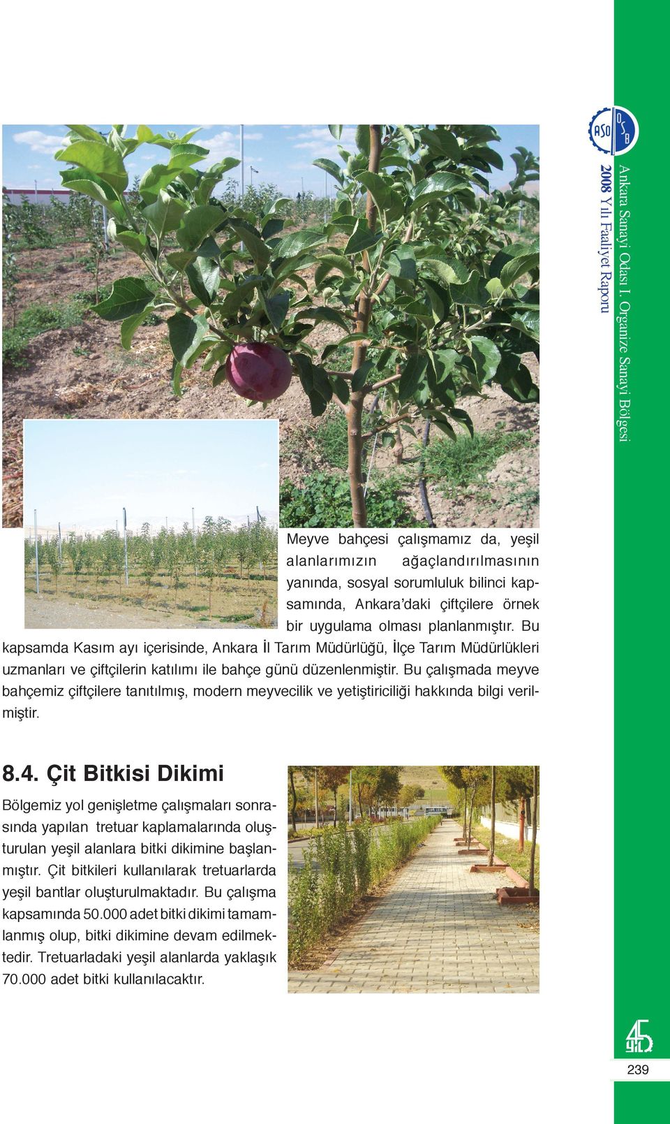 Bu çalışmada meyve bahçemiz çiftçilere tanıtılmış, modern meyvecilik ve yetiştiriciliği hakkında bilgi verilmiştir. 8.4.