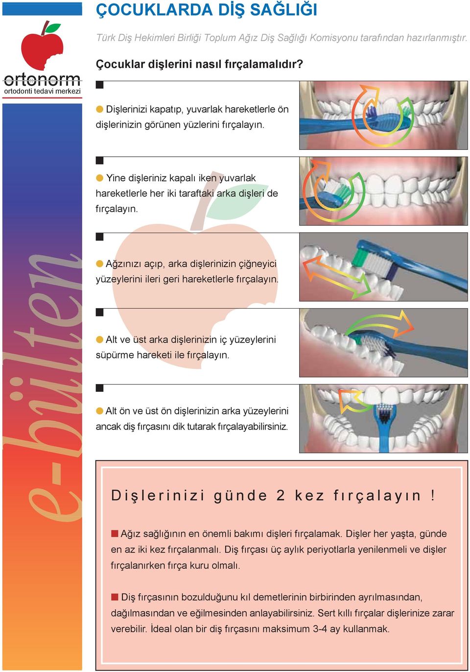 Ağzınızı açıp, arka dişlerinizin çiğneyici yüzeylerini ileri geri hareketlerle fırçalayın. Alt ve üst arka dişlerinizin iç yüzeylerini süpürme hareketi ile fırçalayın.