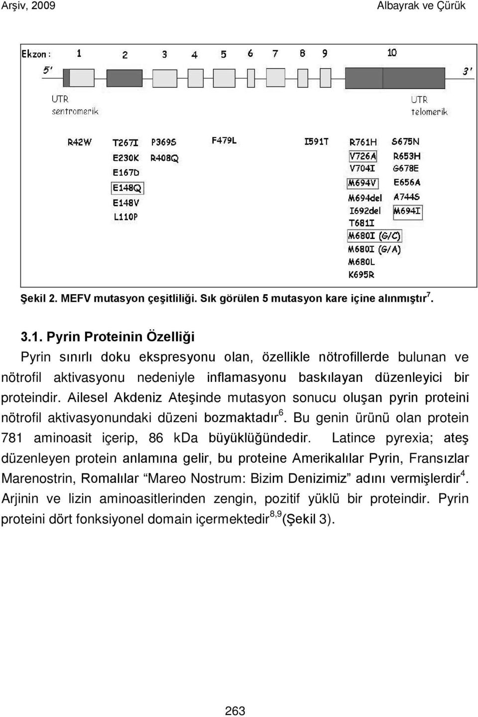 Ailesel Akdeniz Ateşinde mutasyon sonucu oluşan pyrin proteini nötrofil aktivasyonundaki düzeni bozmaktadır 6. Bu genin ürünü olan protein 781 aminoasit içerip, 86 kda büyüklüğündedir.