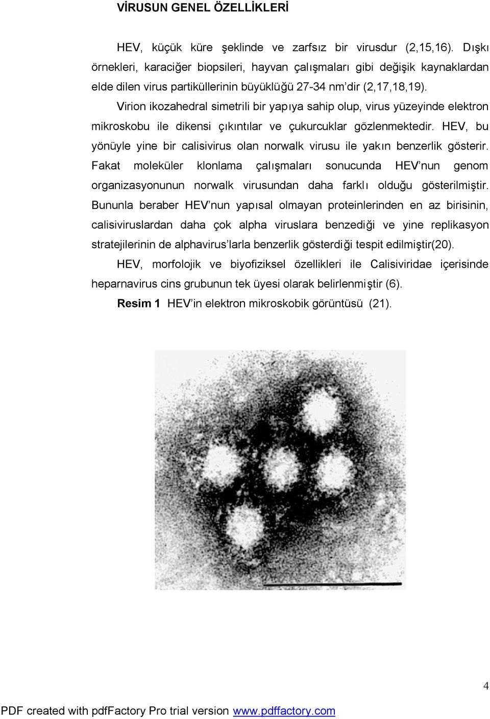 Virion ikozahedral simetrili bir yapıya sahip olup, virus yüzeyinde elektron mikroskobu ile dikensi çıkıntılar ve çukurcuklar gözlenmektedir.