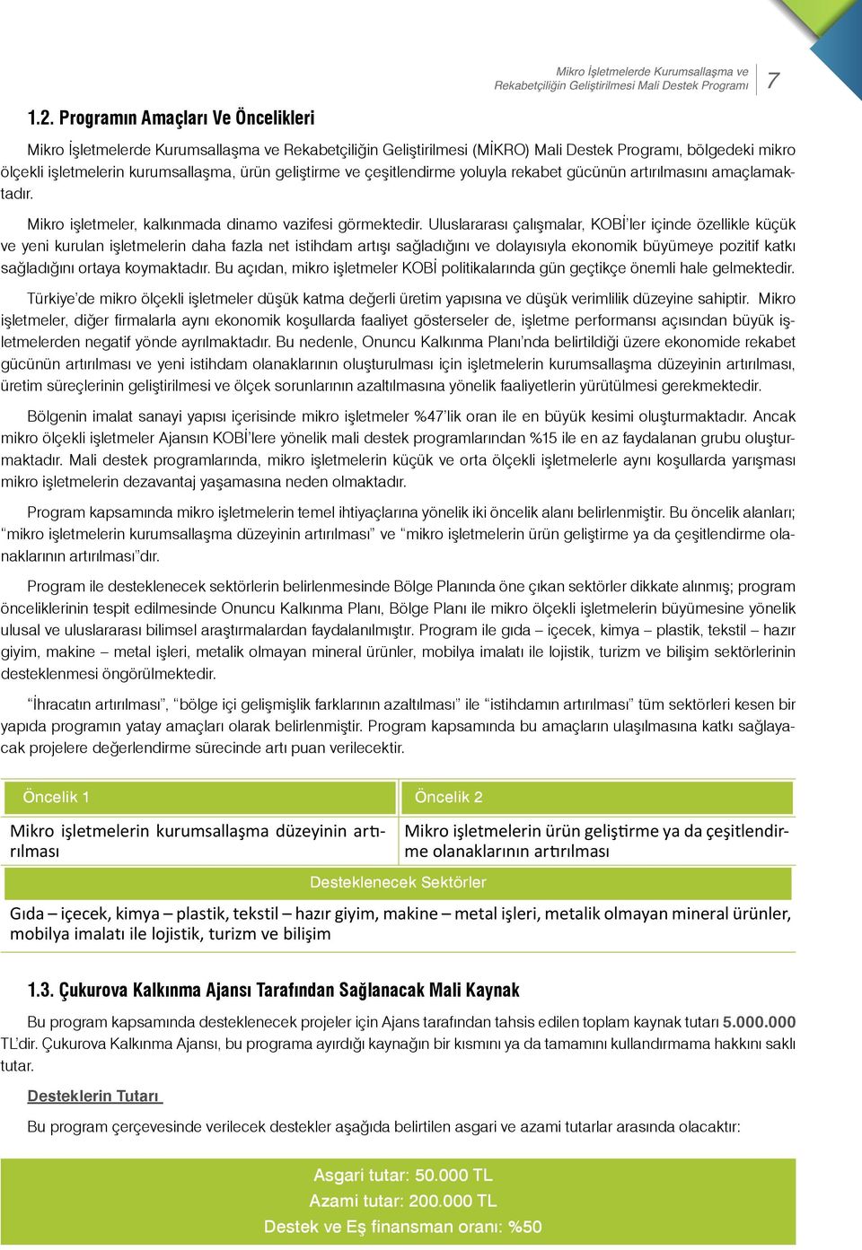 ve çeşitlendirme yoluyla rekabet gücünün artırılmasını amaçlamaktadır. Mikro işletmeler, kalkınmada dinamo vazifesi görmektedir.