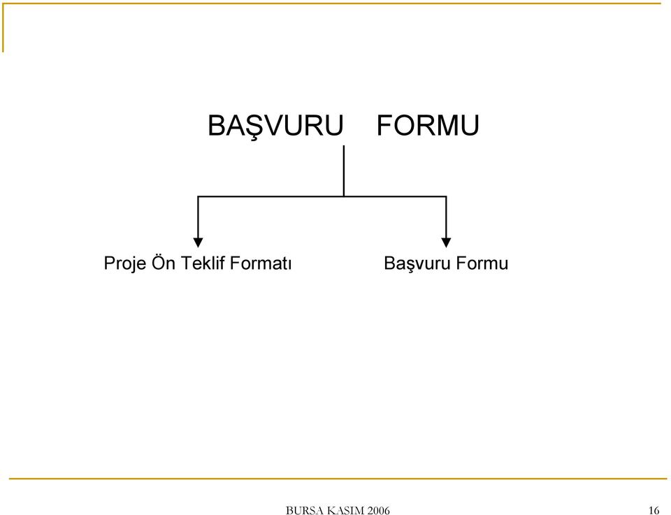 Formatı Başvuru