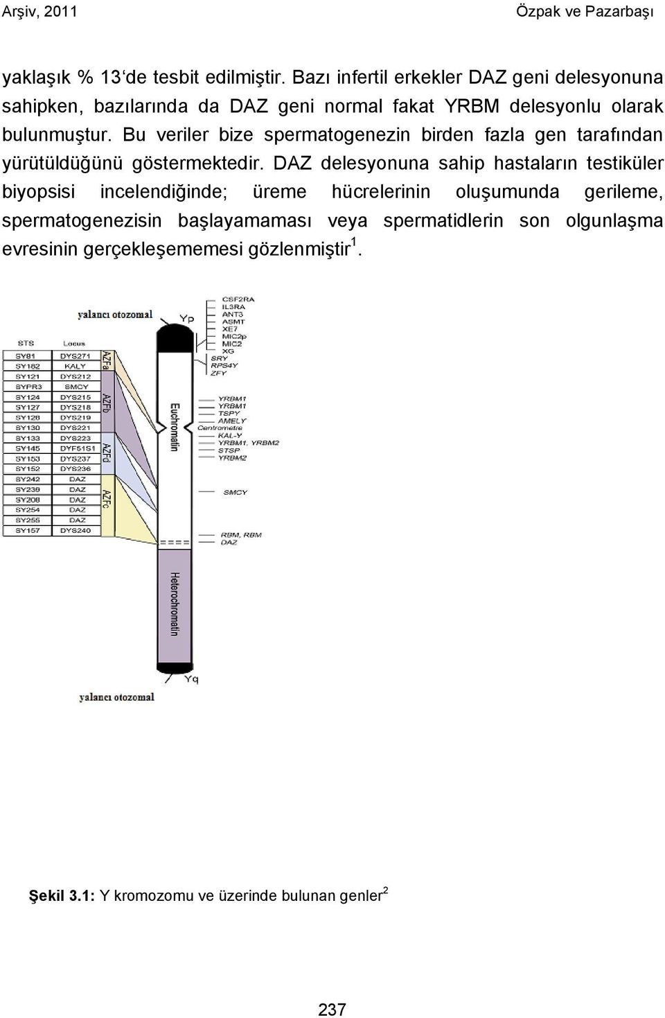 Bu veriler bize spermatogenezin birden fazla gen tarafından yürütüldüğünü göstermektedir.