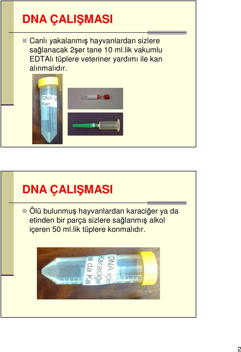 lik vakumlu EDTAlı tüplere veteriner yardımı ile kan alınmalıdır.