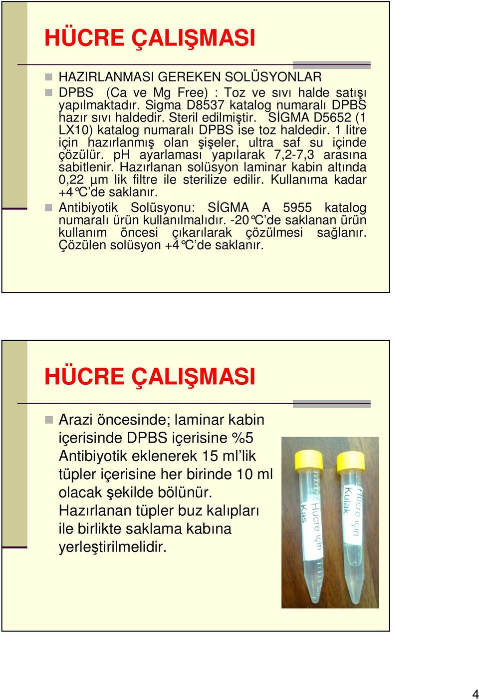 Hazırlanan solüsyon laminar kabin altında 0,22 µm lik filtre ile sterilize edilir. Kullanıma kadar +4 C de saklanır. Antibiyotik Solüsyonu: SİGMA A 5955 katalog numaralı ürün kullanılmalıdır.