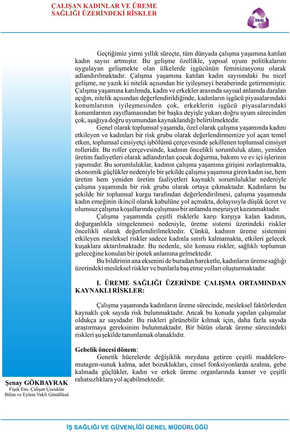 Çalýþma yaþamýna katýlan kadýn sayýsýndaki bu nicel geliþme, ne yazýk ki nitelik açýsýndan bir iyileþmeyi beraberinde getirmemiþtir.