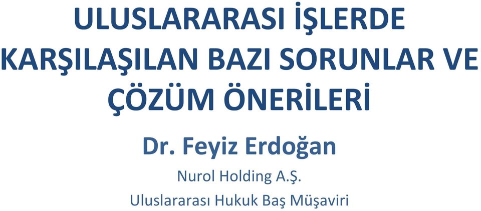 Dr. Feyiz Erdoğan Nurol Holding A.